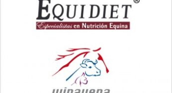 Alianza Estratégica con Winavena de Ecuador