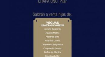 Equidiet en el Remate de la AACCP