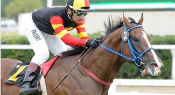 Pollard’s Brother Ganador de Condicional (1200 mts – Pasto)