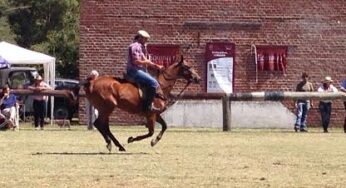 5° Exposición de Caballos de Polo en Mar del Plata