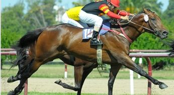 Cuty Machine Ganador de Condicional (1000 m – Pasto – SI)