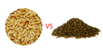 Avena vs Alimentos Balanceados