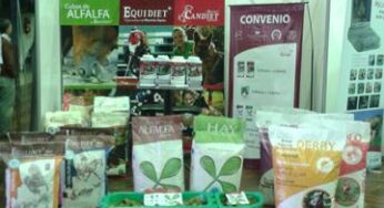 Equidiet en las XXVI Conferencias Internacionales de Veterinaria Equina