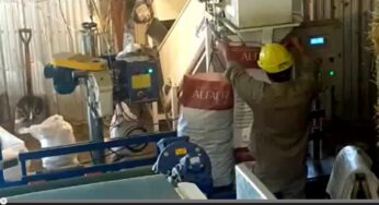 Producción de Cubos de Alfalfa