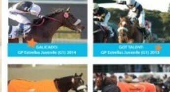 Remate Haras Abolengo