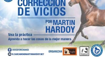 Curso de Corrección de Vicios por Martin Hardoy