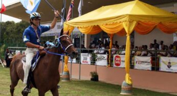 Aceite en el Motor: La Dieta práctica del Caballo de Endurance