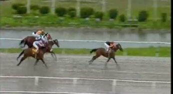 Cuty Woman obtuvo el 1° Puesto en el Hipódromo de San Isidro