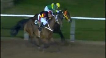 The Best Filly Ganadora !!