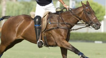 Equidiet en la Copa «La Herradura Classic» Primavera 2015