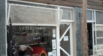Veterinaria Coguai Yenú en Puerto Madryn