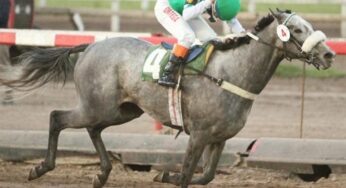 Catch the Cocktail, Ganador de Gran Premio Selección de Potrancas (G1 – 2000m)