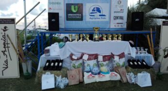 Equidiet en Torneo Abierto «Ciudad de Mar del Plata»