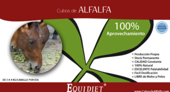 Cubos de Alfalfa by Equidiet