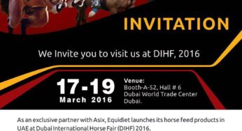 Dubai International Horse Fair del 17 al 19 de Marzo