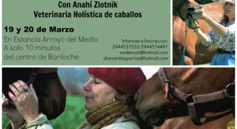 Curso de Comunicación, Masajes y Etología Veterinaria en Bariloche