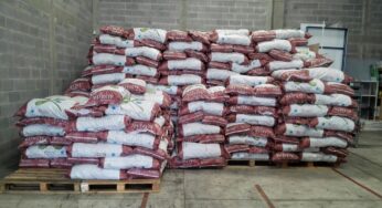 Llegaron los Cubos De Alfalfa a Guatemala.