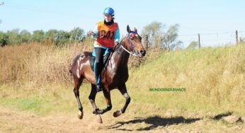 EQUIDIET alimentando Campeones.