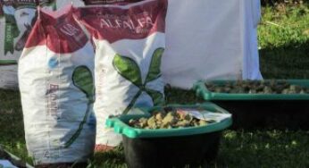 Elegidos por nuestros Clientes.