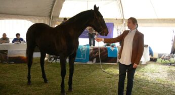 Lo que dejo la Venta Anual del Haras Lef Kawell en Rio Negro.