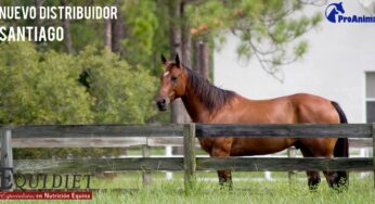 Nuevo distribuidor en Santiago de Chile.