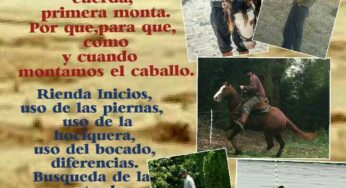 Equidiet acompaña al Curso de Doma y Rienda a cargo de Matias Cuneo.