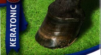 Distribuyendo productos Equidiet por Bolivia.