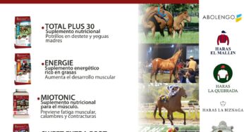 Criadores Argentino Del Sangre Pura de Carrera by Equidiet.