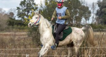 EQUIDIET marcando el paso de los triunfadores!