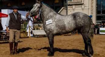 Equidiet apoyando a sus clientes en la Rural.