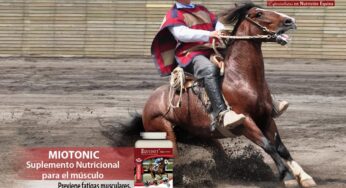 Producto EQUIDIET (MIOTONIC) disponible en Chile!