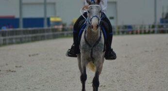 Equidiet en el Mundial de Endurance!