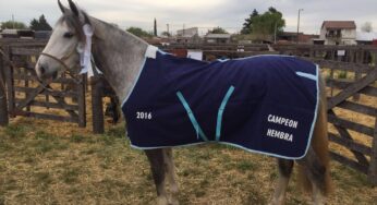 EQUIDIET siempre junto a los campeones.
