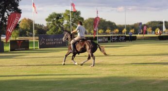 EQUIDIET presente en el Remate de Montados