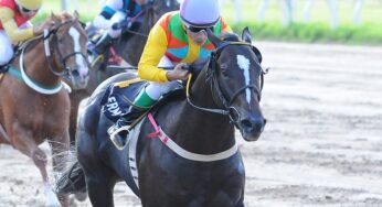 EQUIDIET celebrando junto a Vaporetto Inc