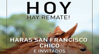 EQUIDIET acompañando hoy al remate de Haras San Francisco Chico e Invitados: