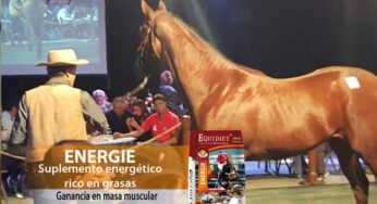Energie, suplemento energético rico en grasas