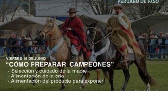 EQUIDIET acompaña la conferencia equina de Catherine Rabau