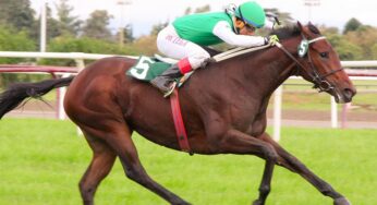 PADDOCK SEATTLE, la ganadora del sábado