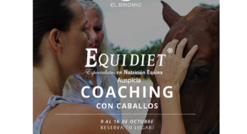 Coaching con caballos en Pilar