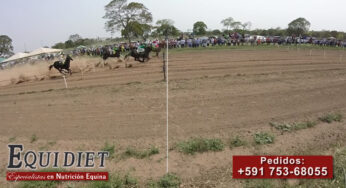 ¡Haras Don Justino celebra la victoria de la mano de Equidiet!