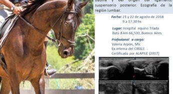 Curso de Ecografía Equina en Pilar