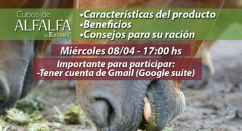 #CharlaVirtual Capacitación Cubos de Alfalfa