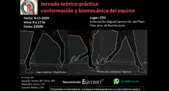 Jornada teórico-práctica: Conformación y biomecánica del equino
