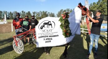 Campeona Copa Criadores consume Equidiet – Chucaro L. Sepia