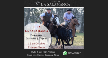 Inscripciones Abiertas para Copa La Salamanca