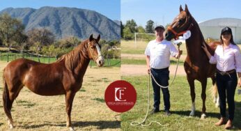 Finca Los Corrales | Catamarca, Argentina