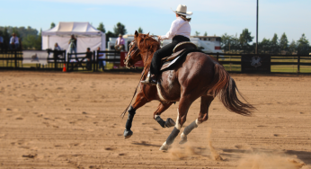 Derby y Campeonato Nacional Haras Don Carlos