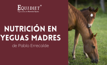 Nutrición en Yeguas Madres