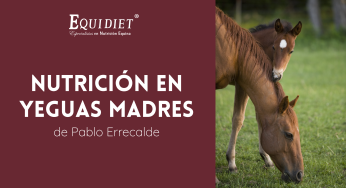Nutrición en Yeguas Madres